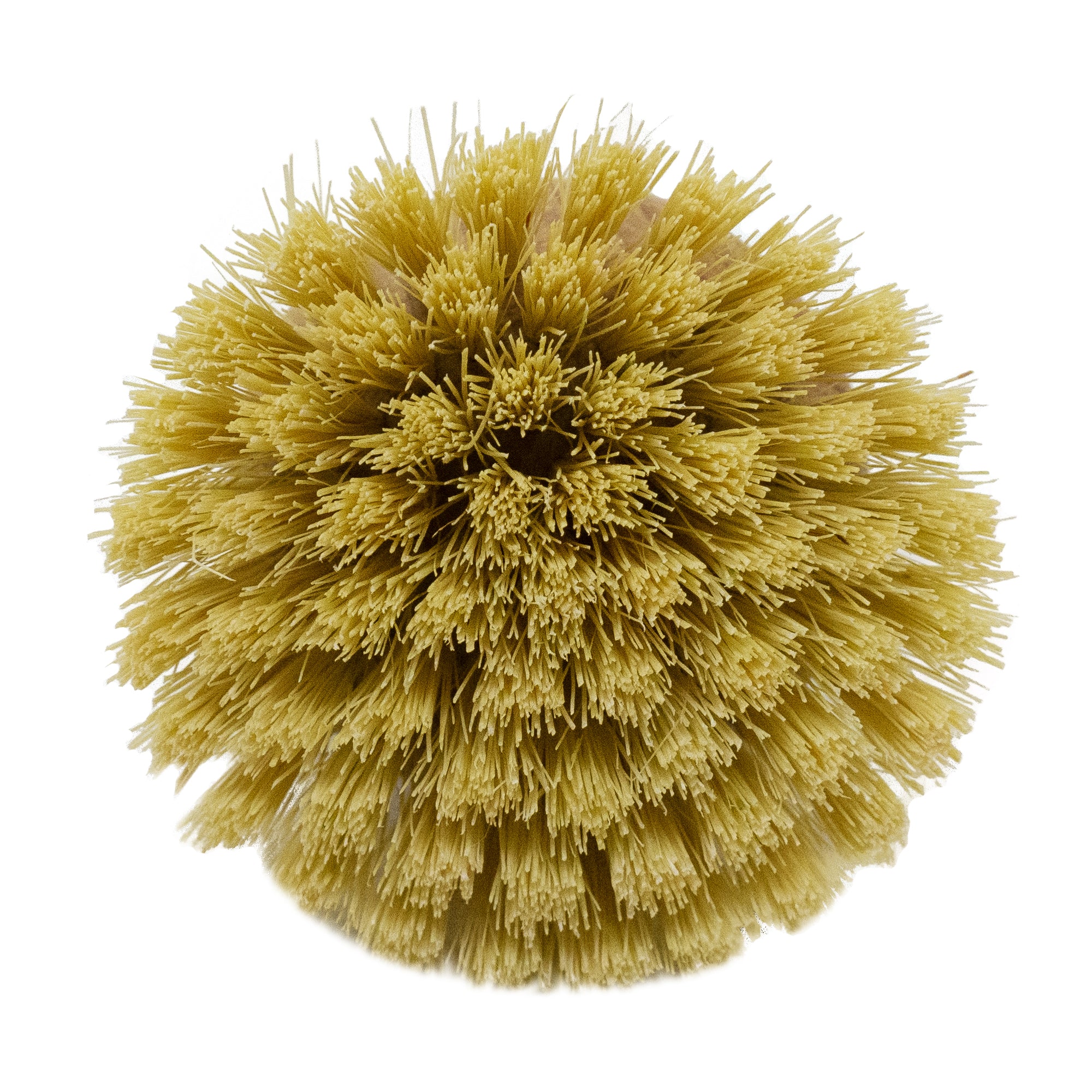 Topfbürste aus Naturborsten 100% FSC