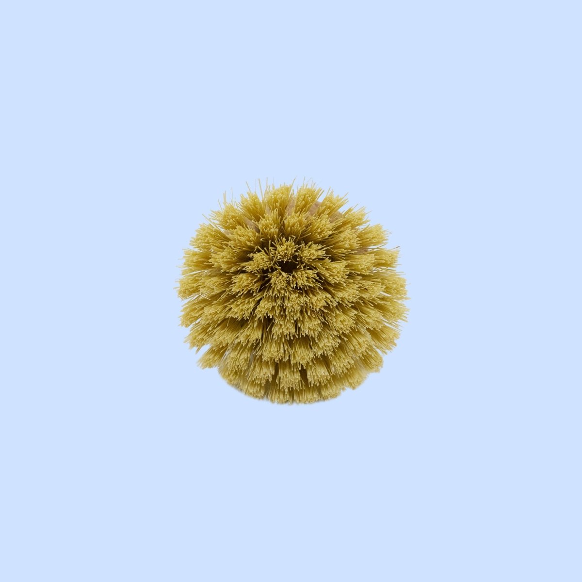 Topfbürste aus Naturborsten 100% FSC - SOHFAAbwaschbürsten